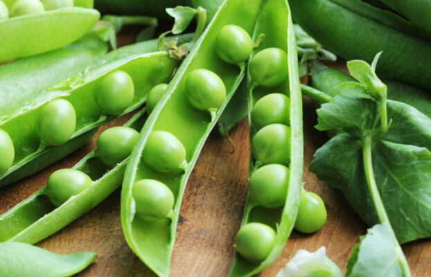 Pea protein peptide